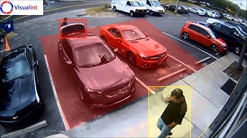 Intelligent Video The Power of Visualint Standard Analytics