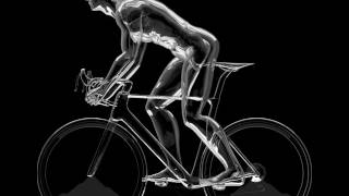 Racing Bike Windows Animated Wallpaper (DesktopHut.com) News