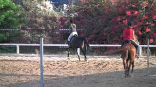 Lital Weiss Riding Erniga During A Horse Riding Jumping Lesson On Thursday 1.September 2011