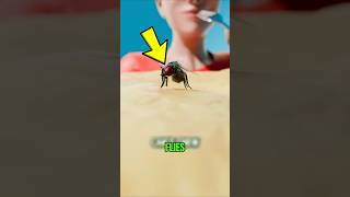 What Flies Really Do To Your Food