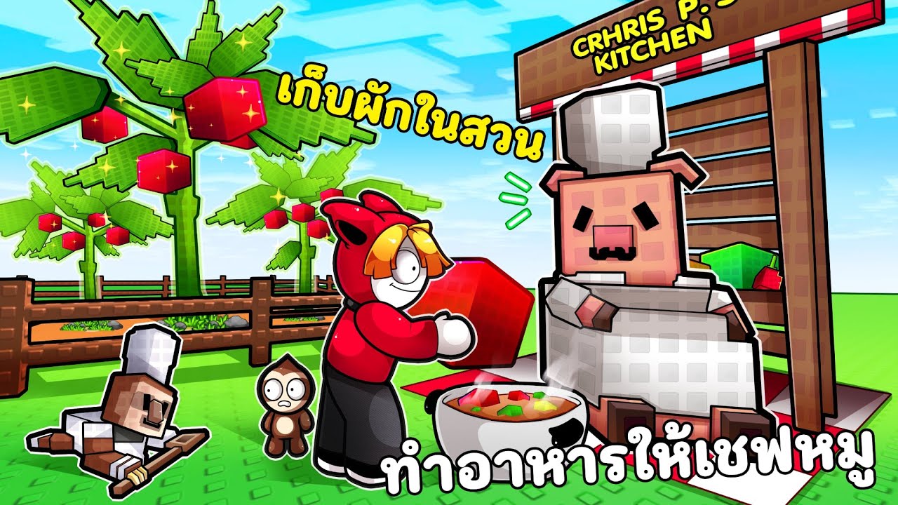เก็บผักในสวน ทำอาหารให้เชฟหมู | Grow a Garden Roblox