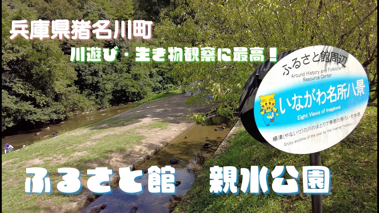 安心して遊べる川遊びスポット♪兵庫県猪名川町「ふるさと館親水公園」 YouTube
