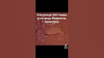 monomachine squelching