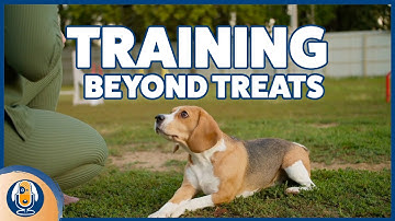Dog Only Listens With Treats? Use This 5 Step Process To Build Better Behaviors #podcast #306