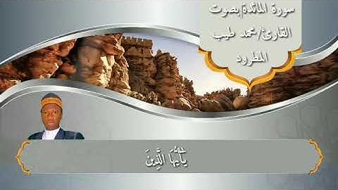 ما تيسر من سورة المائدة|بصوت القارئ/محمد طيب المطرود