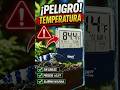 Termometro Hygger HG073-S  #shrimptank #fishtank #Hygger #acuarismo #caridinashrimp