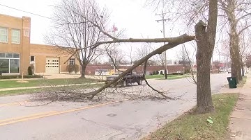 Fallen tree branch forces portion of North 24th Street to close