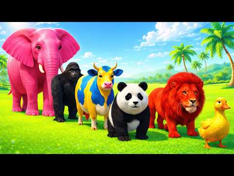 Long Slide Game with Dinosaur Lion Cow Hippopotamus Gorilla 3d Animal Game Funny 3d Animals