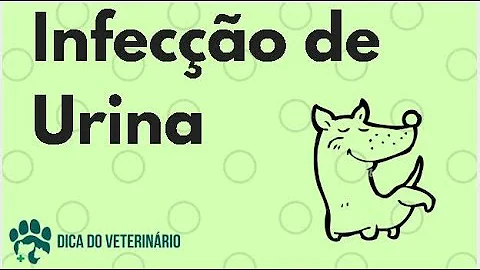 Qual picada de inseto causa formigamento?
