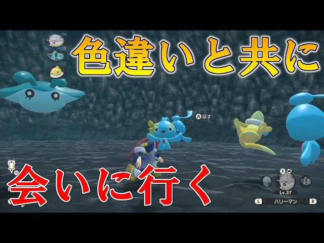 マナフィ出現条件のポケモン達の色違いを引き連れてマナフィに会いに