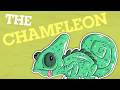 Episode 7: How Can Chameleons Change Color?
