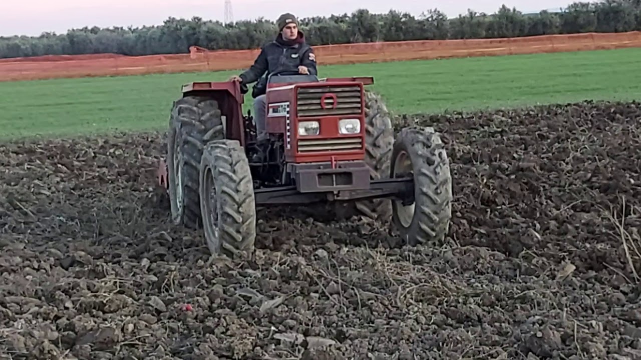 Fiat 70 66 con ripuntatore 5 ancore o.m.a