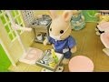 Dentis pretend play  sylvanian families dentis playset with story  yapitv toys