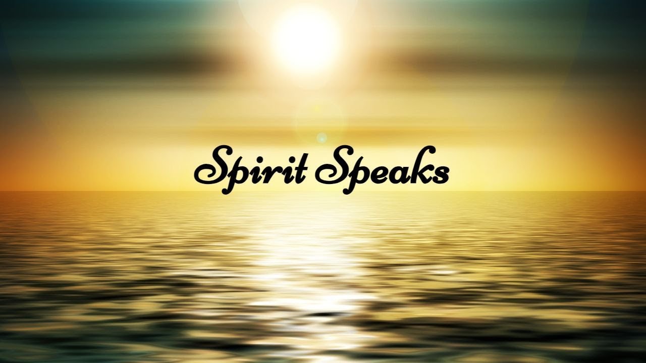 🕊Spirit Wants To Tell You This🕊 This Message Is Meant For You!