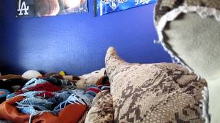 Easter Movies 003.MOV