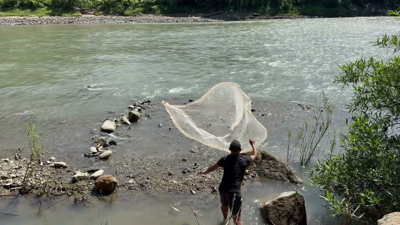 One Man, One Net, One Place, Fresh Catch! 