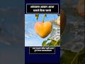 #video #shorts #million #cow #youtube