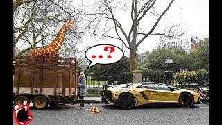 10 COSAS EXTRAÑAS que SOLO PASAN en DUBAI | top viral