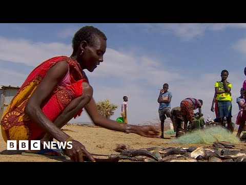 Kenya’s Lake Turkana floods as East Africa faces drought – BBC News