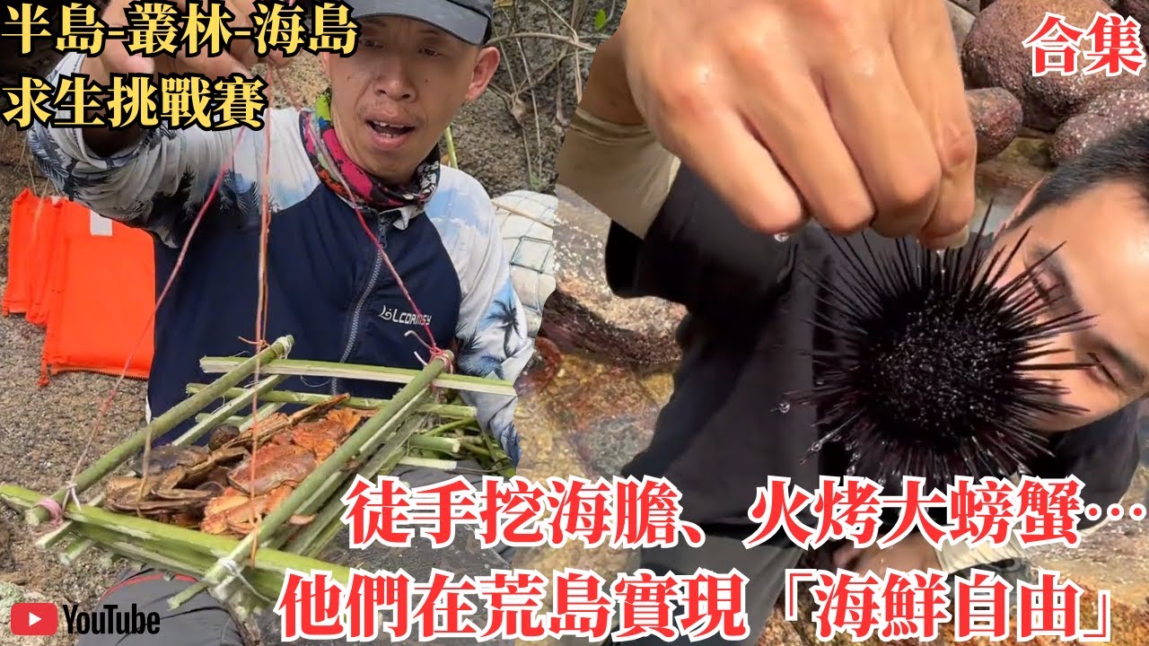 【半島-丛林-海岛求生挑战赛】荒野求生實錄：他們在島上吃海膽、抓螃蟹，卻因蚊子崩潰退賽…