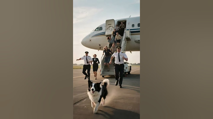 Dog's Quick Thinking Prevents A Disaster! #miracle  #rescue  #animals