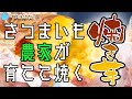さつまいも農家が直々に作る絶品焼き芋！【おいも専門店 YAMATON】