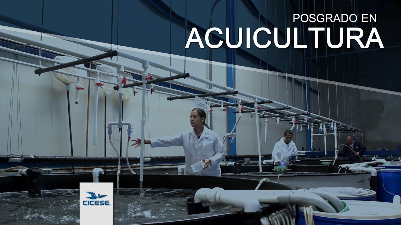 Posgrado en Acuicultura - CICESE