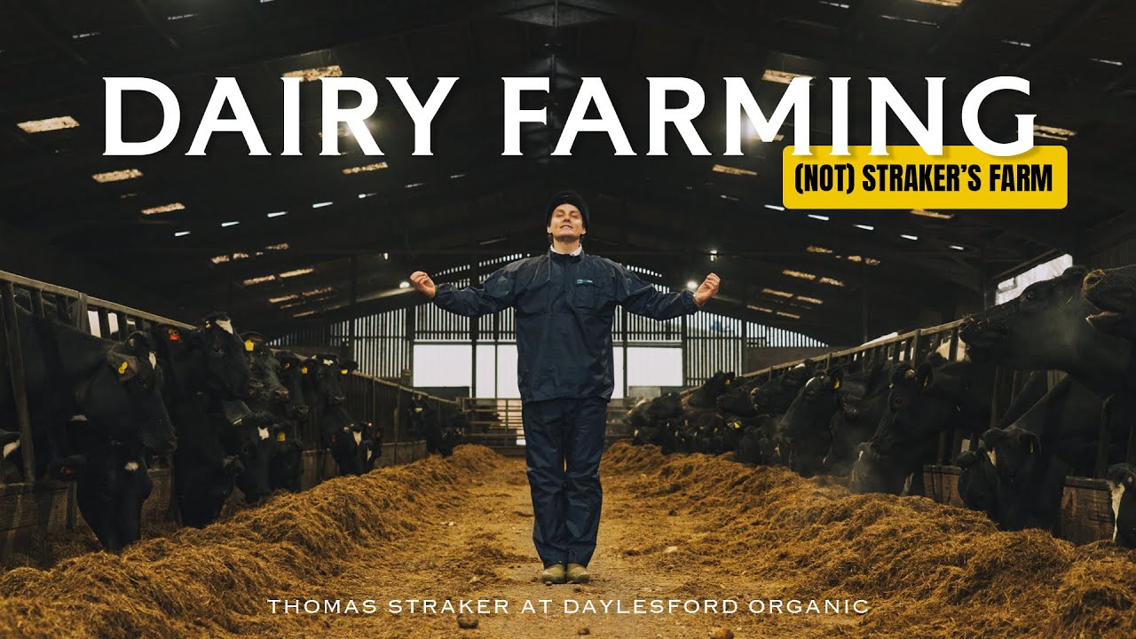 My day as an Organic Dairy Farmer... | February at Daylesford