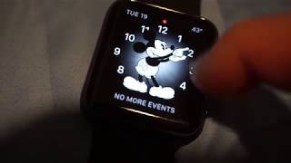 Apple Iwatch Series 3 Cellular 42Mm Anium Watch First Impressions Mickey Mouse Talks