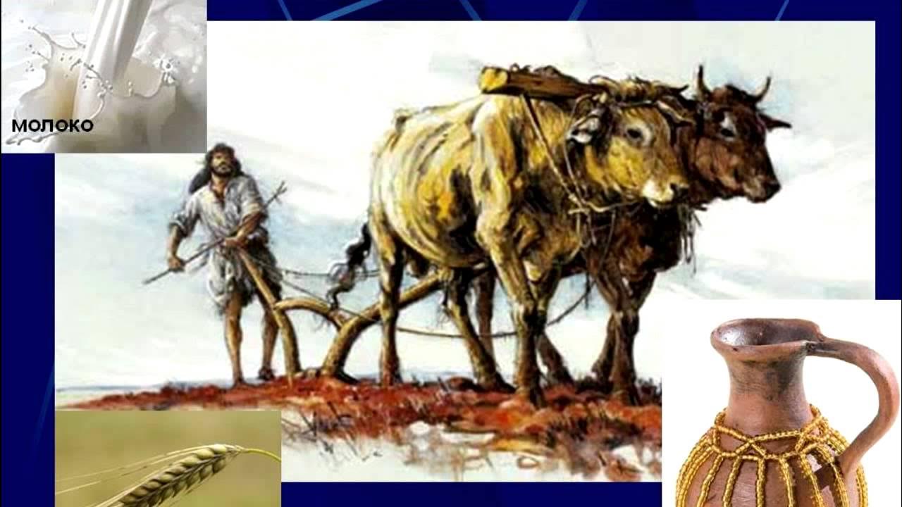 какими товарами обменивались кочевники и земледельцы