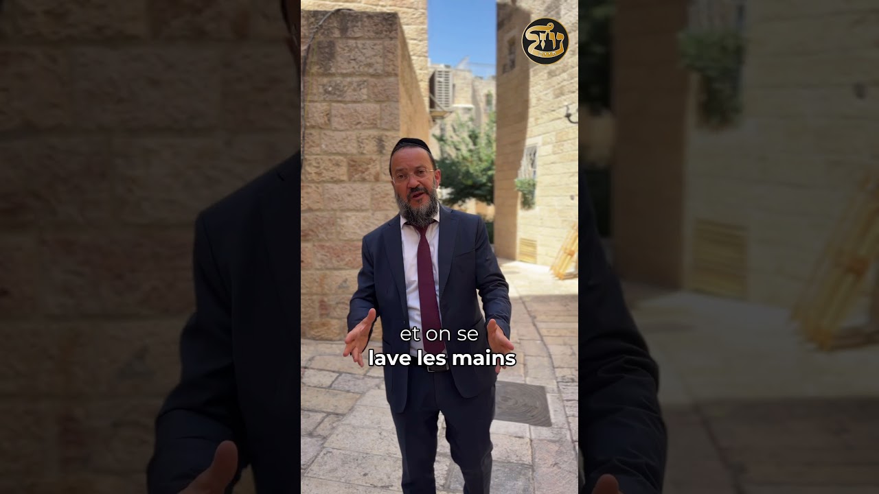#Paracha #Choftim : Il y a toujours Justice ! Rav Dagani Cohen #torah #chabbat #chiour #jerusalem