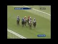 2011 Etihad Airways Falmouth Stakes