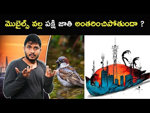 Mobile Radiation killing birds ? || 2.0 Movie Message Real In Telugu ? By Kanthu Devarakonda