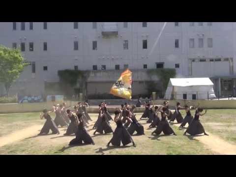 大阪大学お祭りダンスサークル祭楽人 いちょう祭2017 (南中ソーラン)