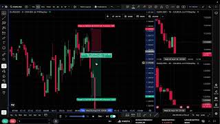 Day 11 | Backtesting My Trading Strategy Until I Become a Profitable Trader