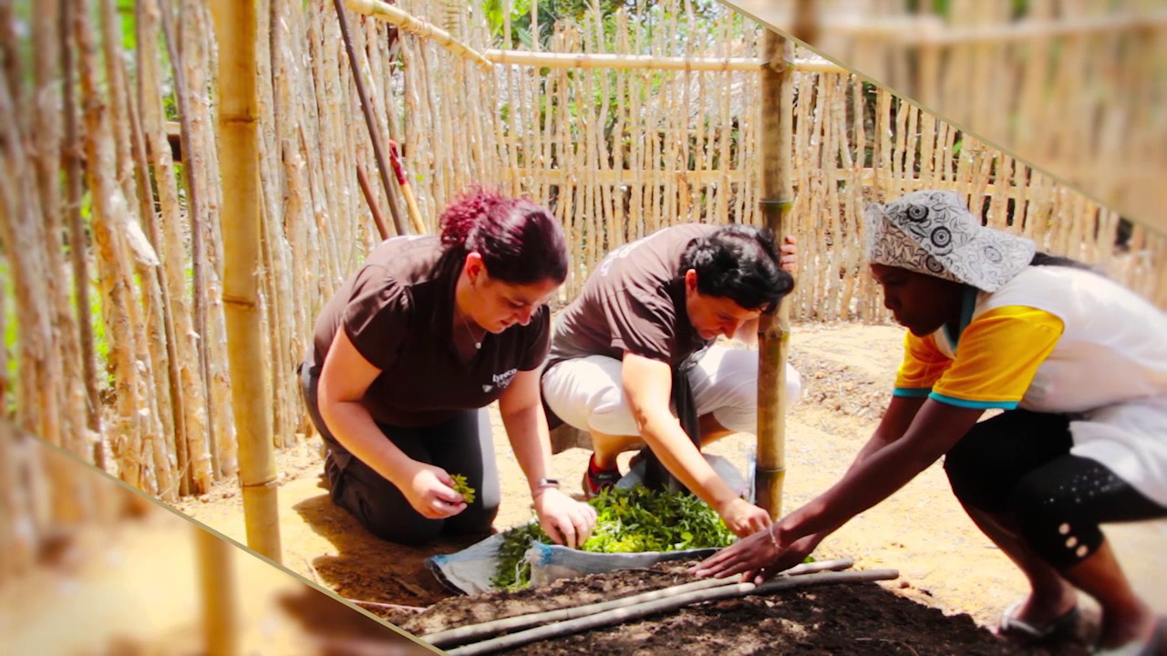 LYRECO SWITZERLAND AG