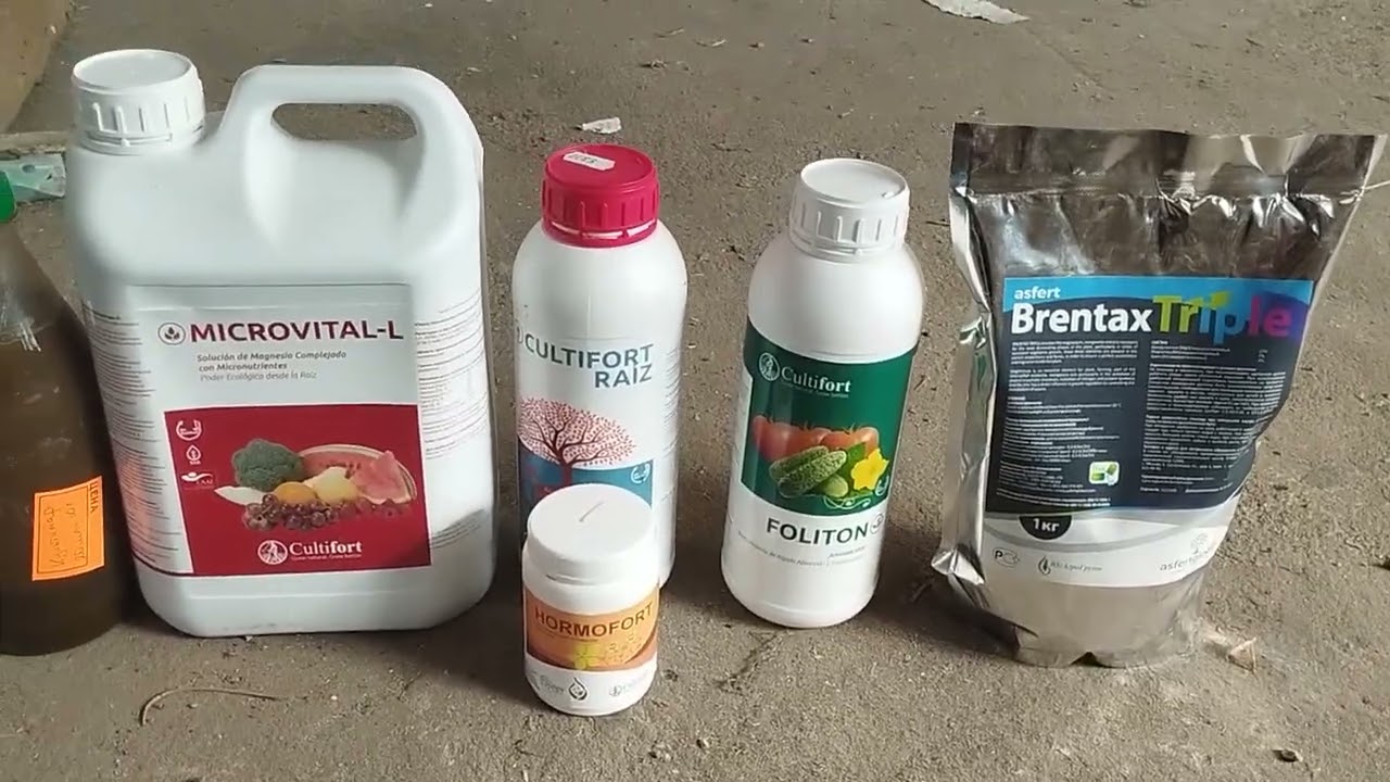 питание рассады