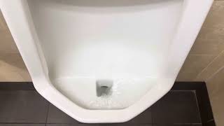 Flushing The Toilet At Bob Evans