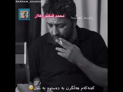 ئارام شەيدا گورانيكى خاو