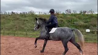 Advert reference - 315512