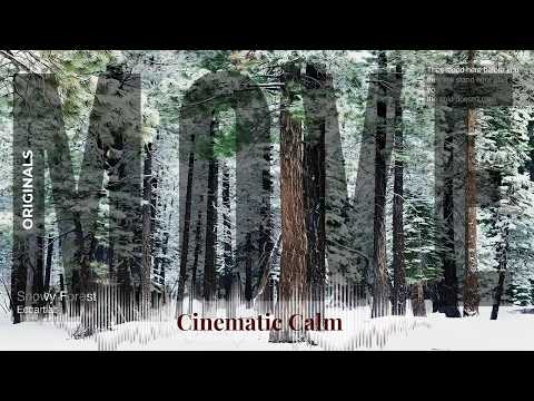 Move - Cinematic Calm with Originals | Forest · Ecoartlab & others