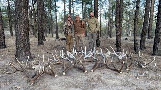 2023 Elk Shed Hunting