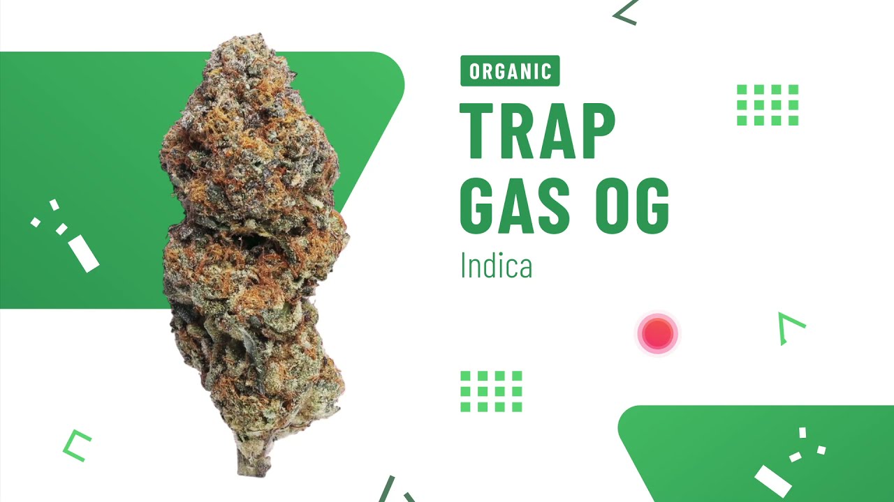 Trap Gas OG (HD)