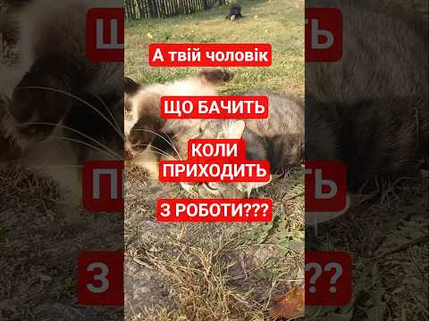 А що бачить ваш чоловік коли повертається з роботи ПІДПИШИСЬ ЩОБ БАЧИТИ БАГАТО ЦІКАВОГО 