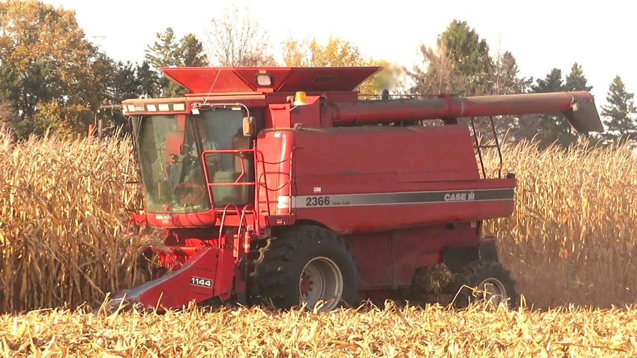 Harvest 2020 | Case IH 2366 Axial Flow Combine Harvesting Corn | Corn Harvest 2020
