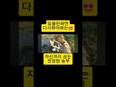 웃고가요 우리모두 잊을만하면 꼭봐줘야해😀 #웃긴영상  #대파