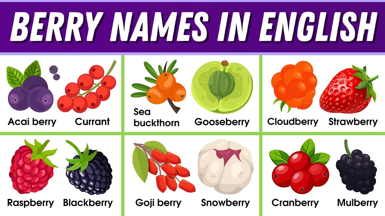 Berry Names in English 🍓 - Learn Vocabulary with Pictures ...