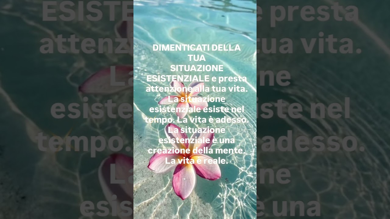 Energiedimuriel: LA VITA È ADESSO 💪🏽🔮✨