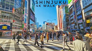 Shinjuku 4K Walk - January 2024 - Tokyo Japan