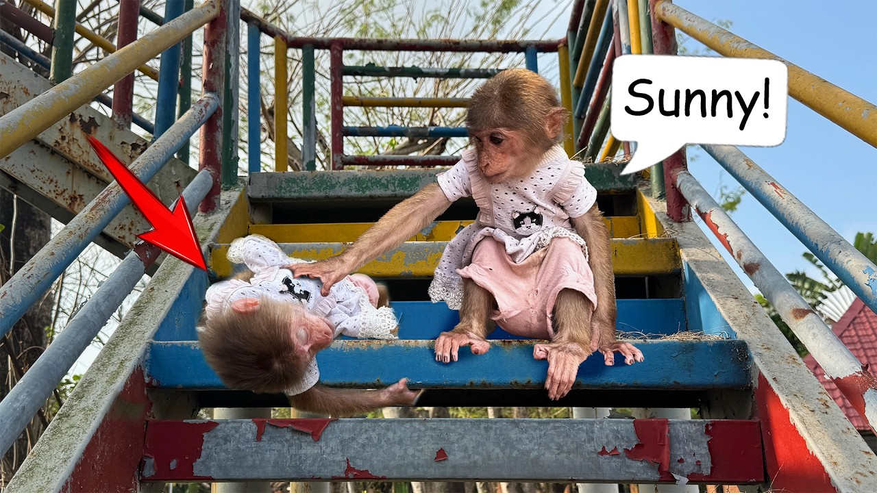 What just happened to Sunny that made her lie there?